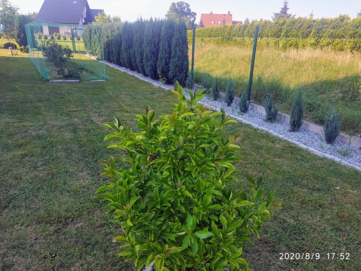 Górskie Marzenie - Zator - Przeciszów - Oświęcim Przeciszow Exterior foto